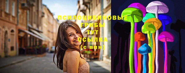 сатива Иноземцево