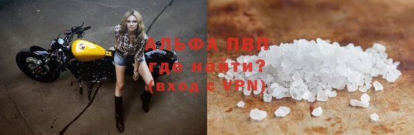 эйфоретик Кущёвская