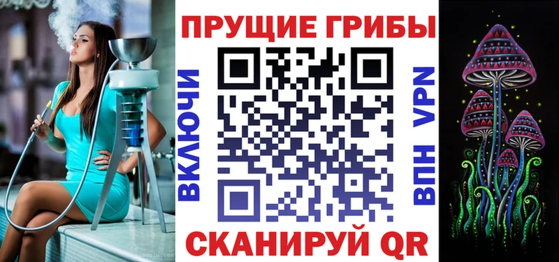 ссылка на мегу как зайти  Волгодонск  Псилоцибиновые грибы MAGIC MUSHROOMS 