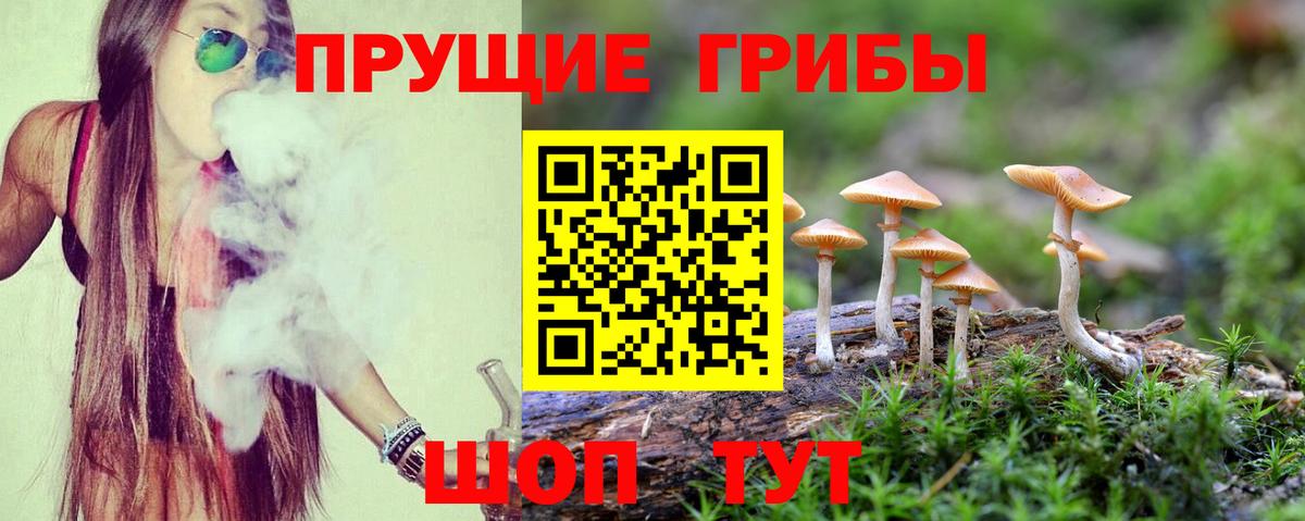 Волгодонск  Галлюциногенные грибы мухоморы  купить наркоту  Вход с VPN 